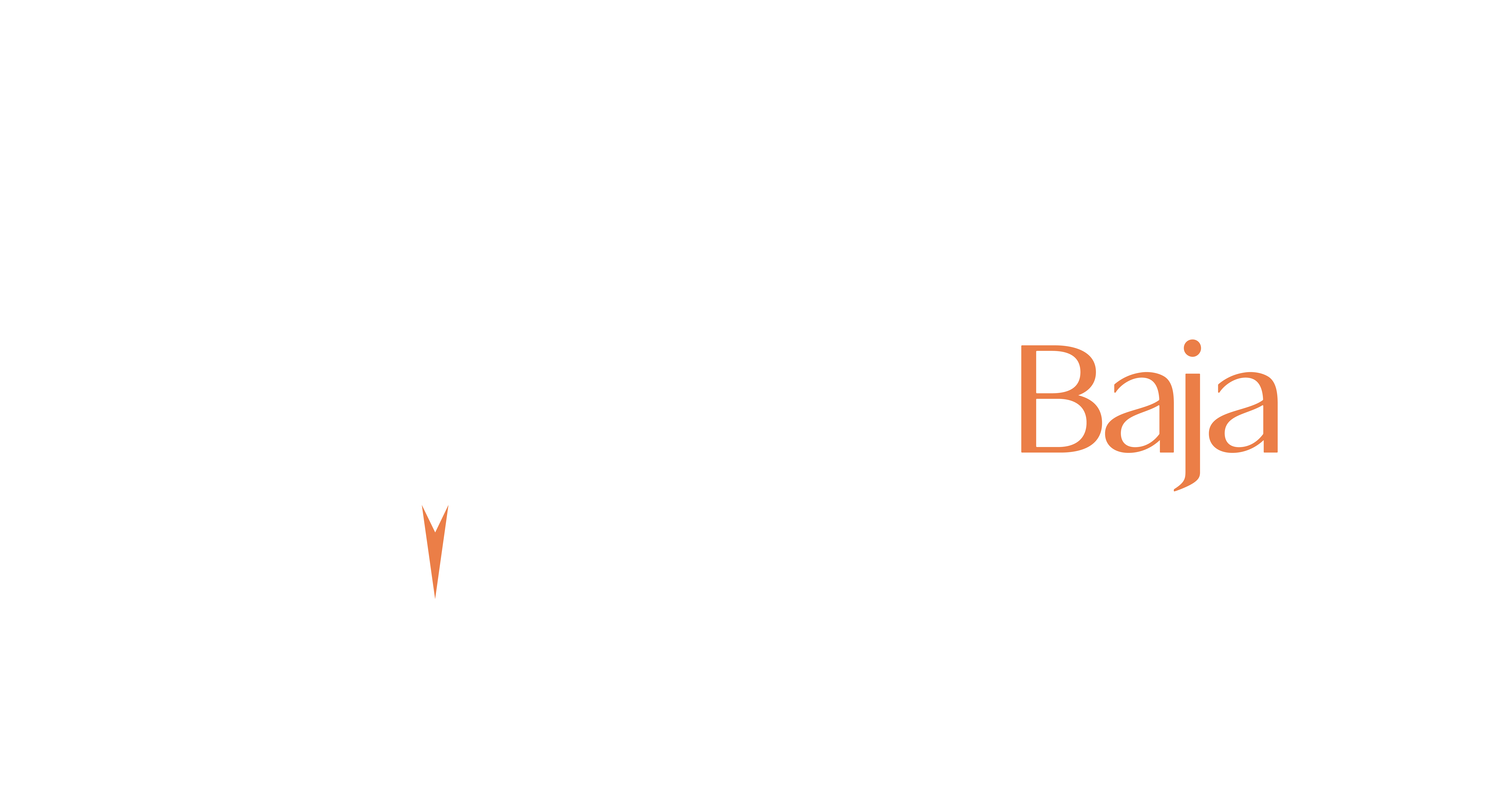 South Baja Realtors